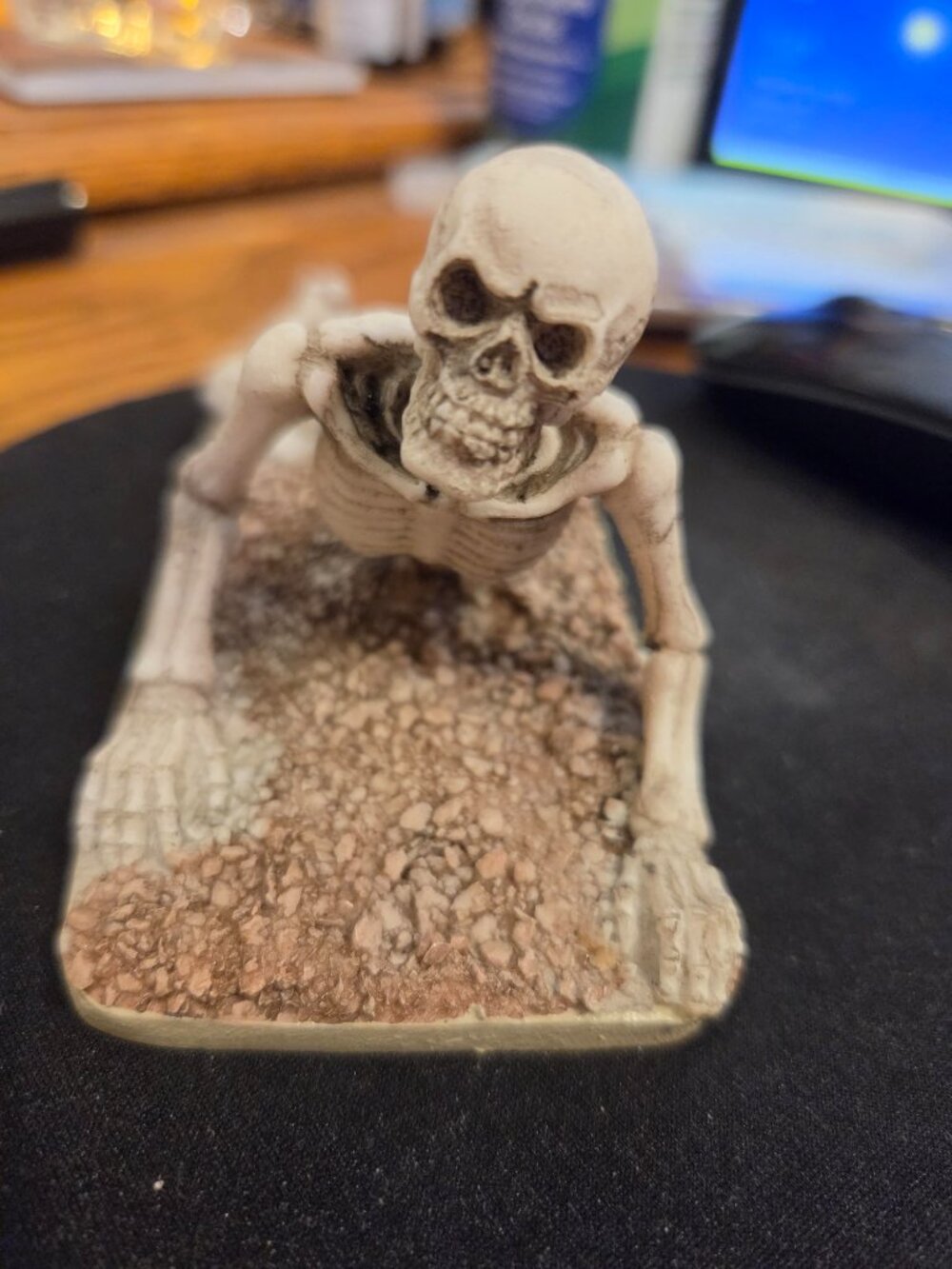Skeleton Aquarium Terrarium plant Halloween Haunted House decor!AWESOME!LQQK!